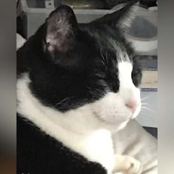 Hi! Thank you for visiting Shadowspond 😊😊😊 - Picture 13 of 16